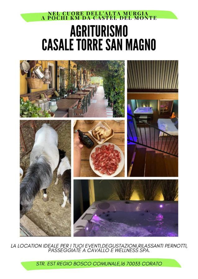 コラート Casale Torre San Magnoヴィラ エクステリア 写真